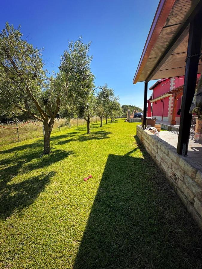 A Villa Manghisi Petracca Экстерьер фото